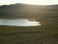 Природа Булунского края