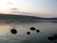 Природа Булунского края