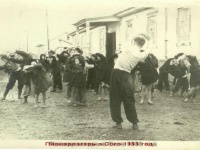 Тикси