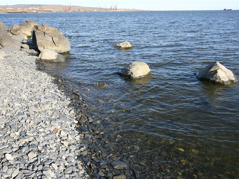фото КДС