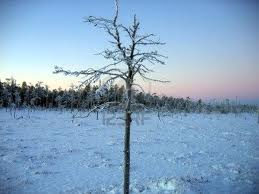 Фото: severnash.ru