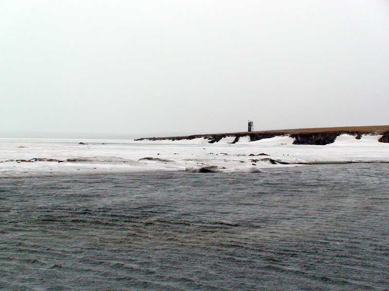 Тикси, бухта, июнь2012, фото ТДК